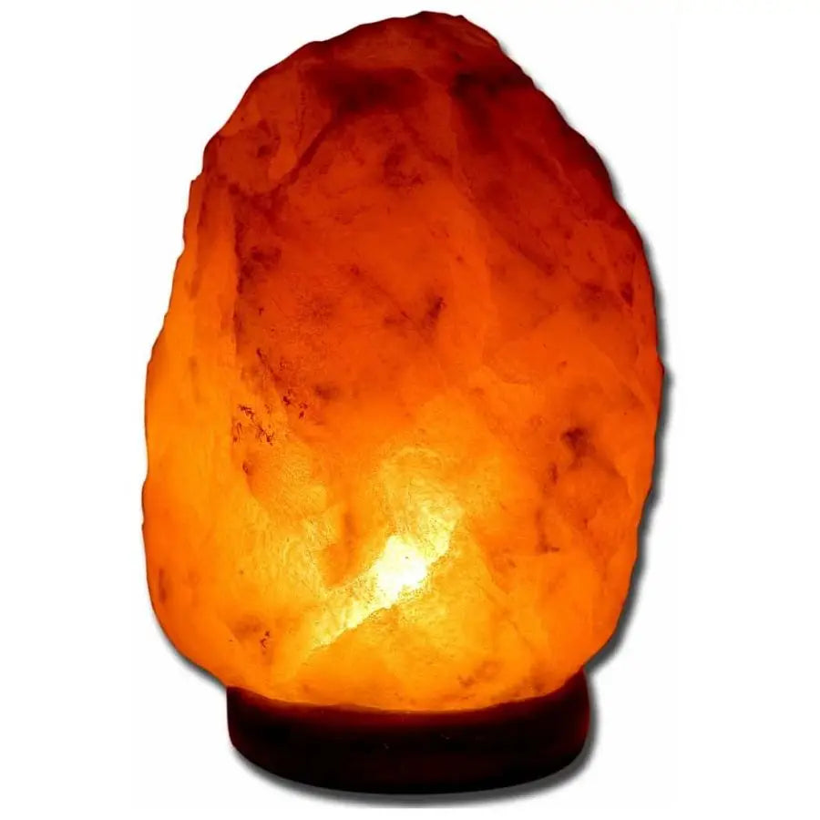 Ancient Secrets Grande lampe au sel gemme de l'Himalaya Grande 6-8 lbs.