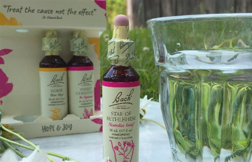 Bach Hope & Joy Komfort-Set