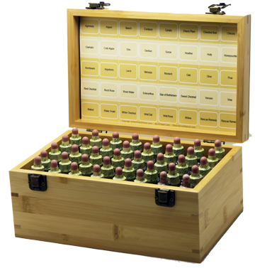 Kit de Flores de Bach en Caja de Bambú con 40 Frascos de 20ml