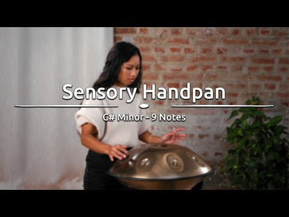 Meinl Handpan - C# Minor, 432hz